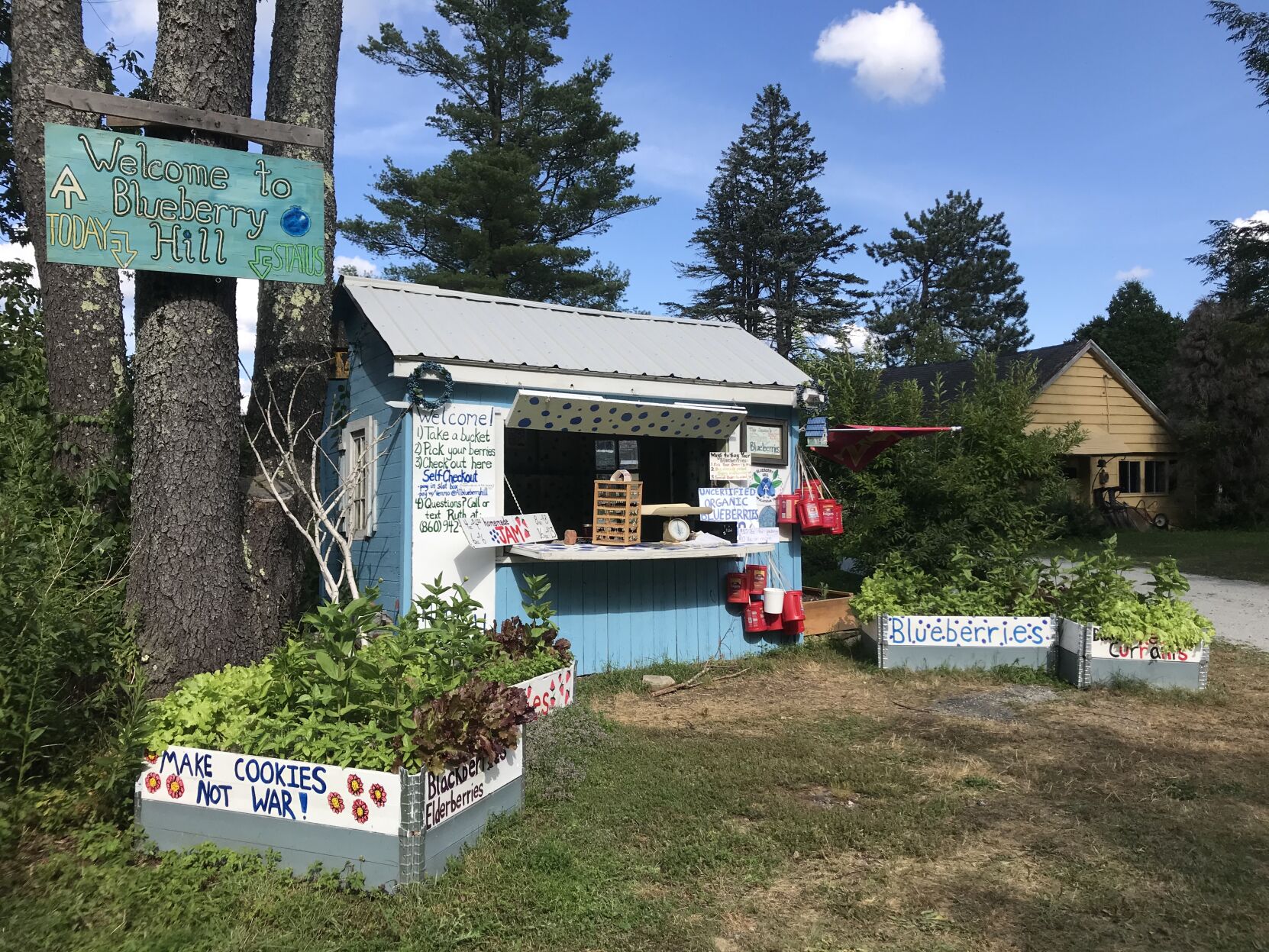Cookie house.jpg